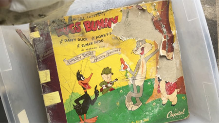 Bugs Bunny 78 set number 1, covered in mold