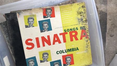 Sinatra 78 set, covered in mold