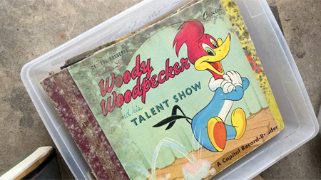 Woody Woodpecker 78 set, covered in mold